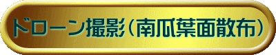 ドローン撮影（南瓜葉面散布）